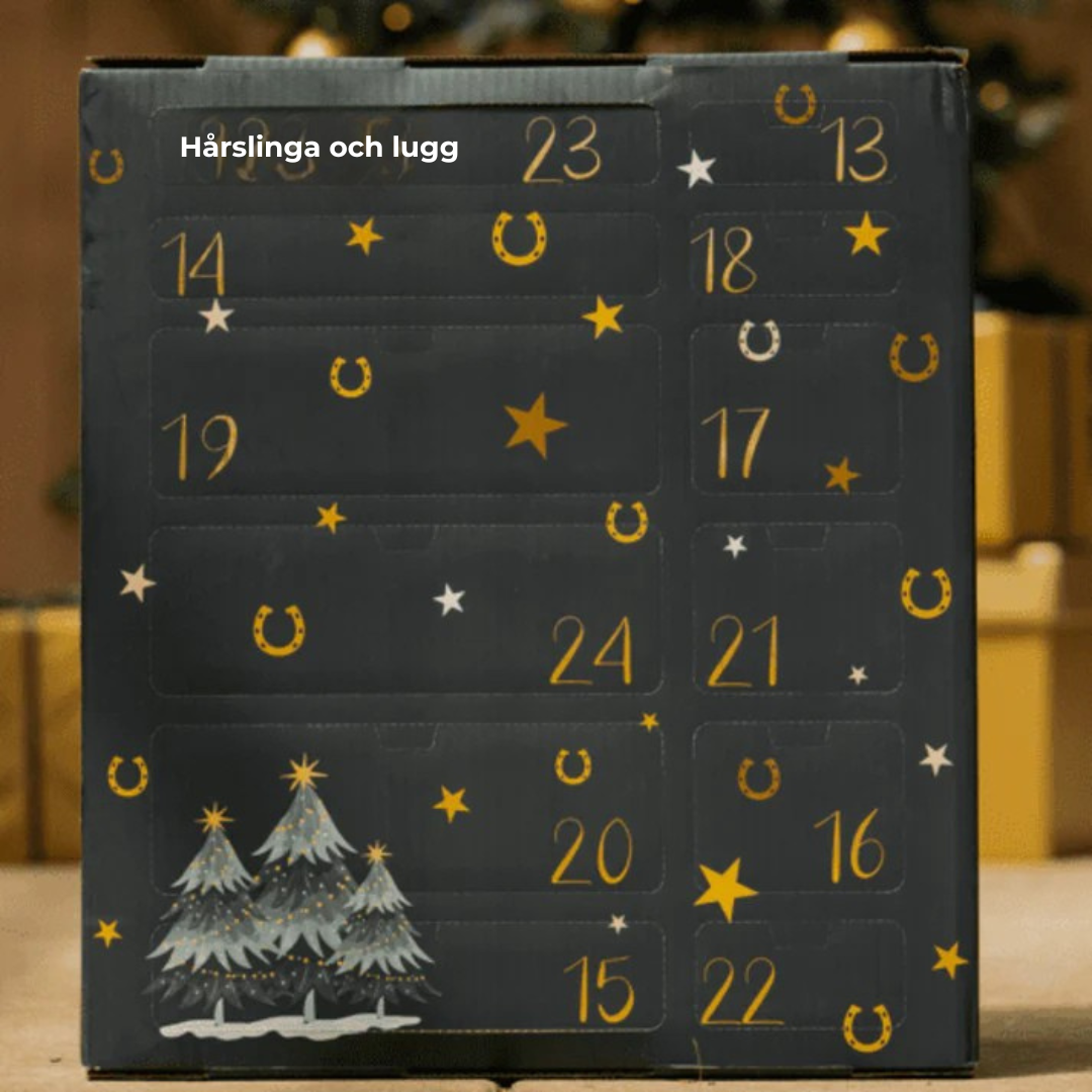 HästJul™ – Nedräkningen för riktiga hästälskare