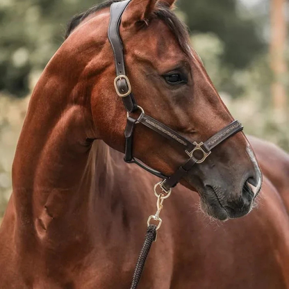 HästJul™ – Nedräkningen för riktiga hästälskare